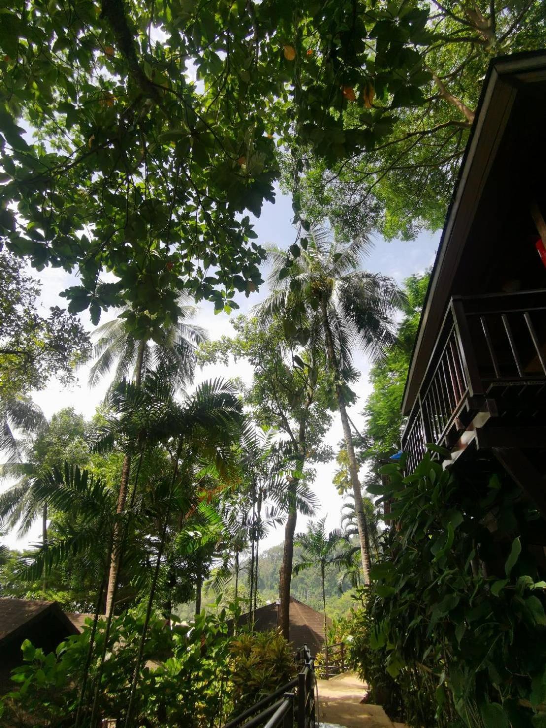Baan Krating Khao Lak Resort - Sha Plus Exterior foto